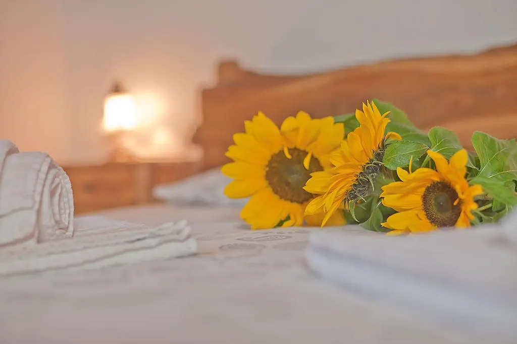 Farm stay Podere Campriano Winery Adult Only Greve in Chianti