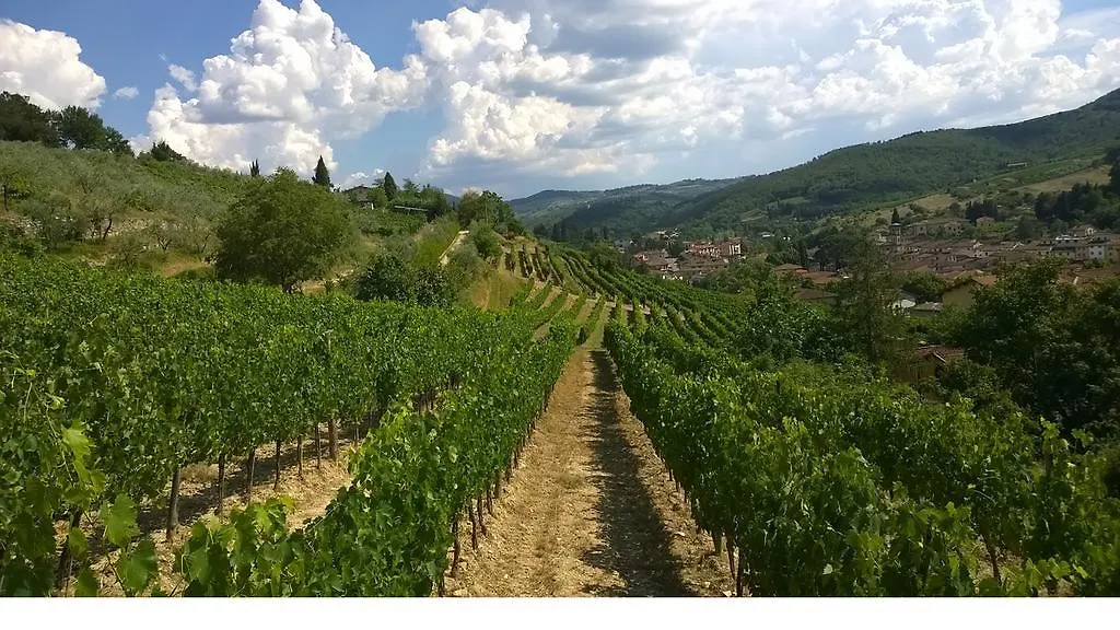 Farm stay Podere Campriano Winery Adult Only Greve in Chianti